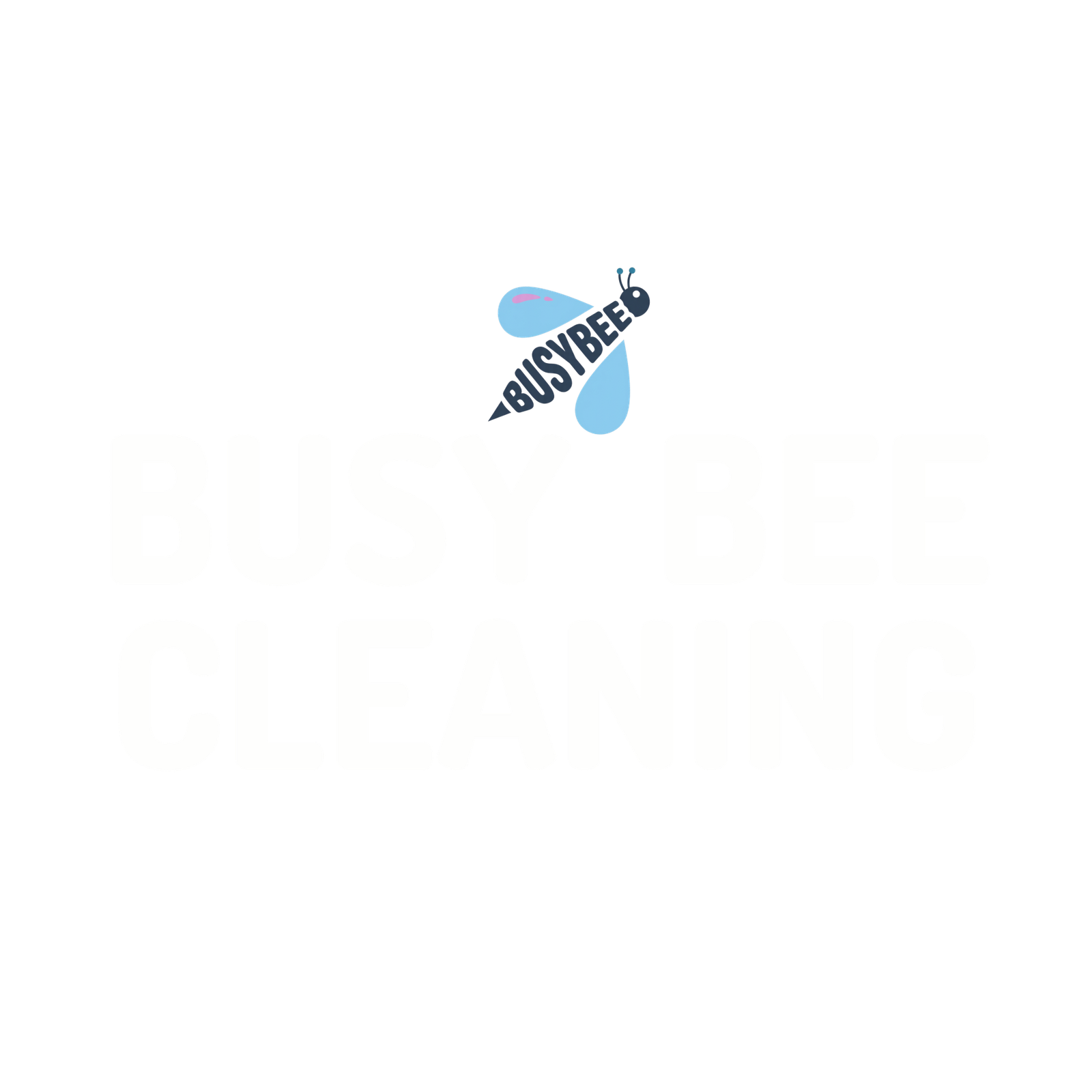 Busy Bee Cleaning Services